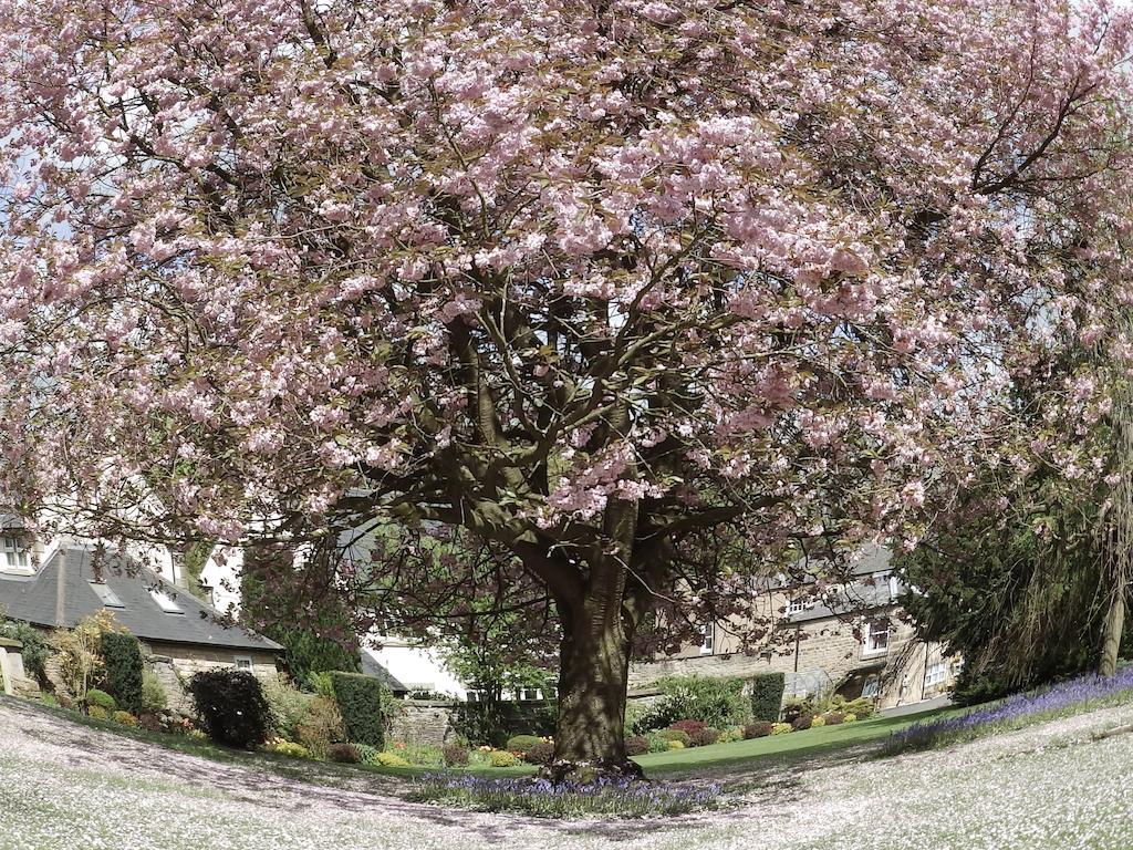 Hedgefield House Ξενοδοχείο Ryton  Εξωτερικό φωτογραφία
